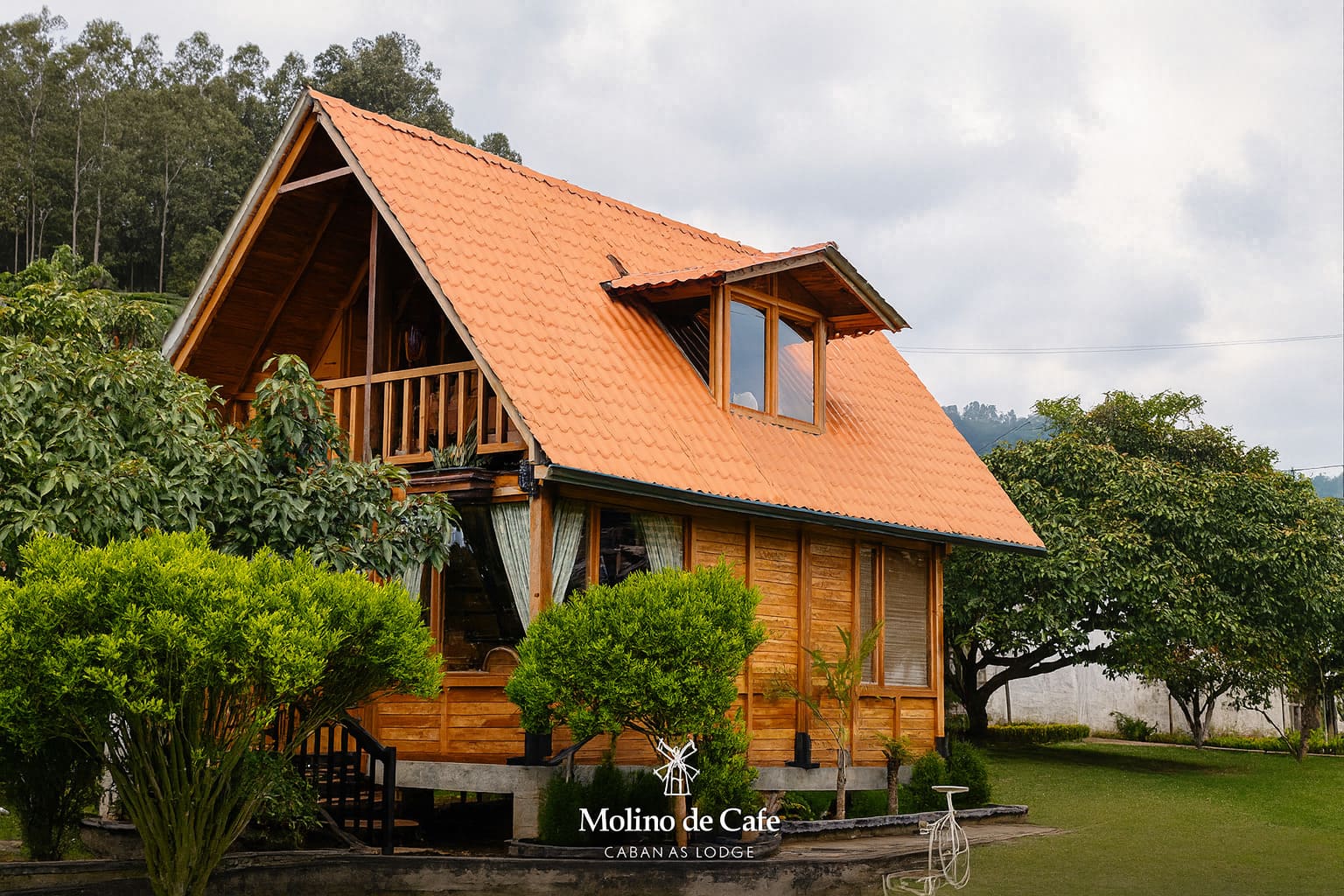 Molino de Café & Café con Raíces